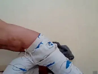 thevincenToy webcam model stream image