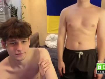 wesides webcam model stream image