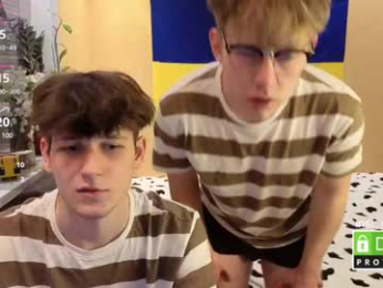wesides webcam model stream image