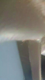 callmenastynam4 webcam model stream image