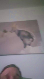 jayhaze1 webcam model stream image