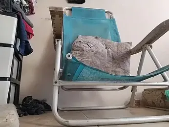 oz22932 webcam model stream image