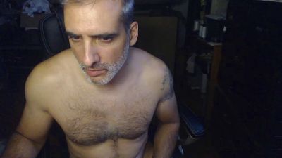 brfer webcam model stream image