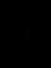 dvoi webcam model stream image