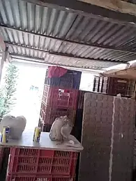 hoteder webcam model stream image