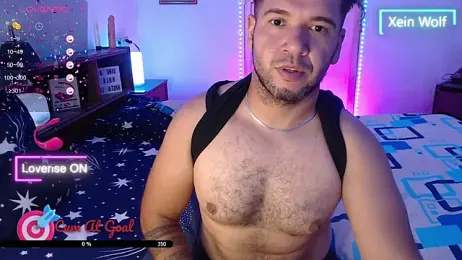 Xein_WoIf webcam model stream image