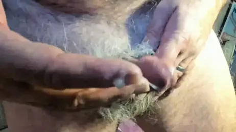 dantes_lion webcam model stream image