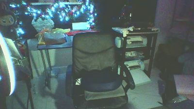 theflodarican webcam model stream image