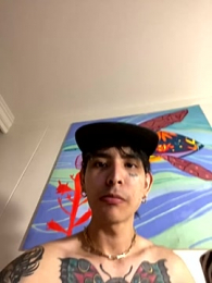 carti02 webcam model stream image