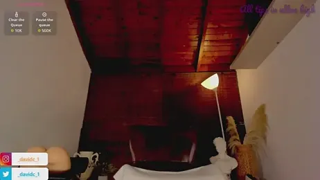 DavidC_ webcam model stream image