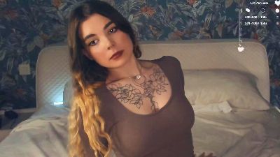 ElvaDryer webcam model stream image
