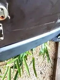 javierlelyonnais webcam stripchat model stream image