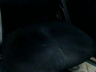 legendario718293 webcam model stream image
