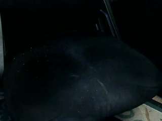 legendario718293 webcam model stream image