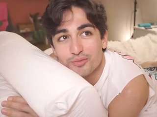alandenavarre webcam model stream image