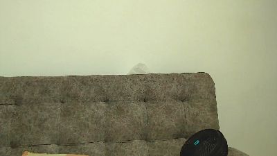 MalikBlack webcam model stream image