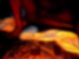 flexonaier webcam model stream image