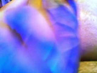 flexonaier webcam model stream image