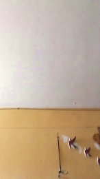 Zant0z webcam cam4 model stream image