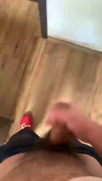 zelek2 webcam model stream image