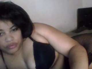 starryari webcam model stream image