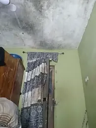 Freedomvim webcam model stream image