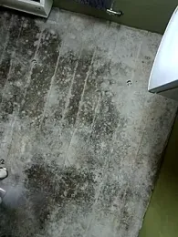 Freedomvim webcam model stream image