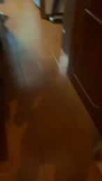 serpens79 webcam model stream image