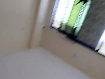 deshibirds webcam model stream image
