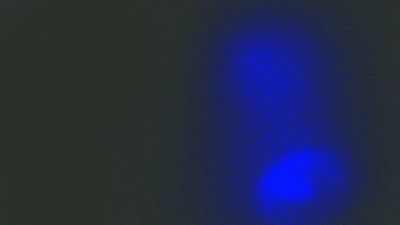 lovehotstuff webcam model stream image