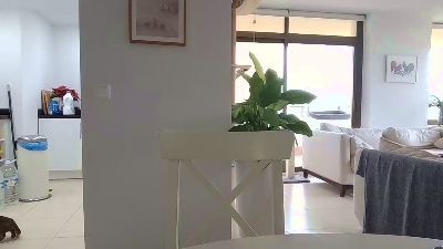 bigbonerbear webcam model stream image