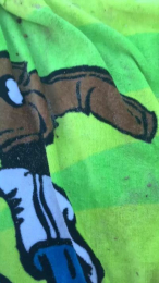 sam_cam_fun webcam model stream image