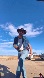 reinsrider webcam model stream image