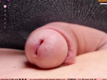kpetra webcam model stream image