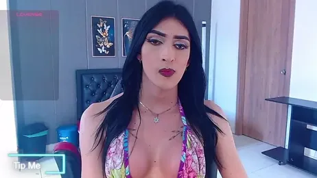 Evelynn_sex_ webcam model stream image