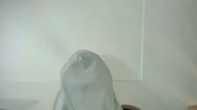 amy_kobold33 webcam cam4 model stream image