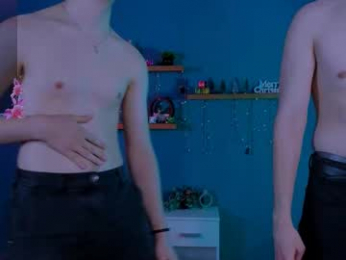 jax_telys webcam model stream image