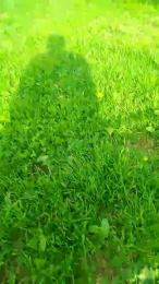 koctikonas_ webcam model stream image
