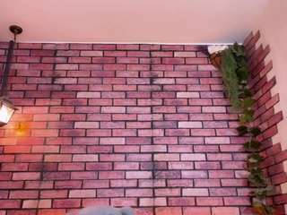lady-po webcam model stream image