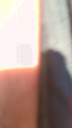 ziojessy webcam model stream image