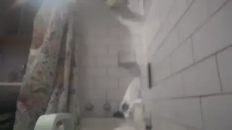 bukkakebae1 webcam model stream image