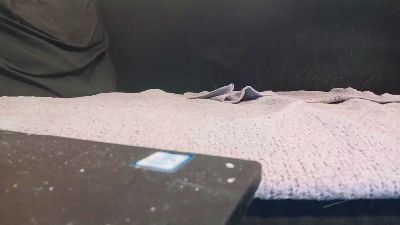 ElHase webcam model stream image