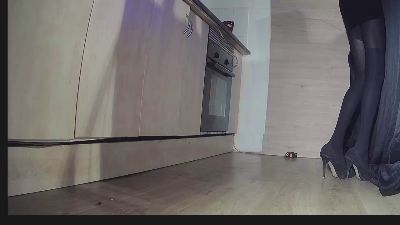 Flakitapeliroja webcam model stream image