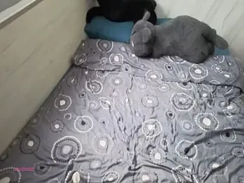 bbhiShark webcam model stream image