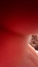 mumuselu1 webcam model stream image