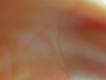 haileyvice webcam model stream image