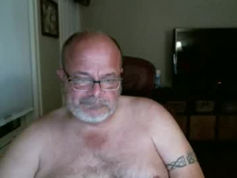 bearsinmass2 webcam model stream image