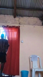 CucumberMachine webcam model stream image