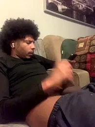 Insurance-03 webcam model stream image