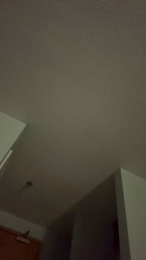 HungStud42069 webcam model stream image